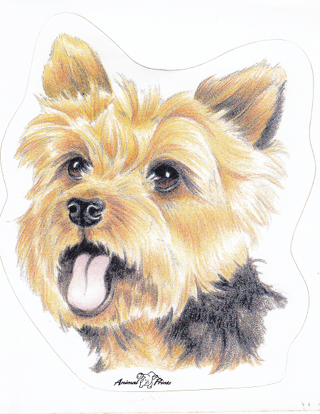 STICKER WEST HIGHLAND TERRIER