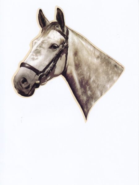 STICKER PAARDENHOOFD