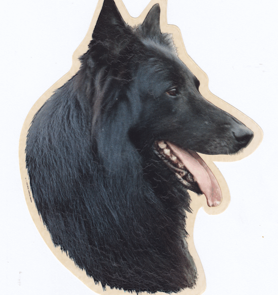 STICKER GROENENDALER