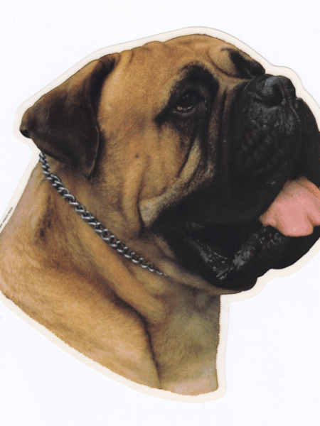 STICKER BULL MASTIFF