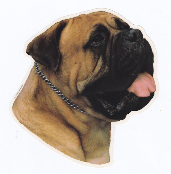 STICKER BULL MASTIFF