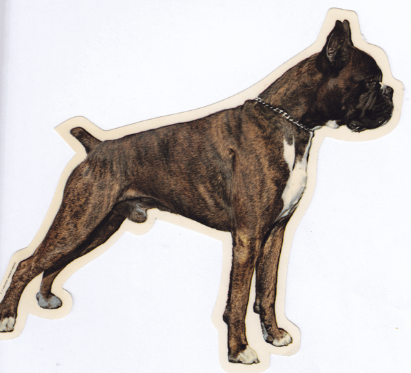 STICKER BOXER