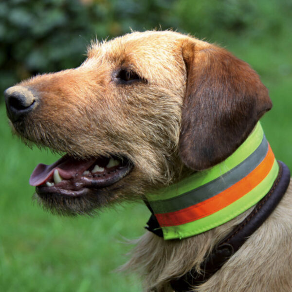 HONDEN ARTIKELEN