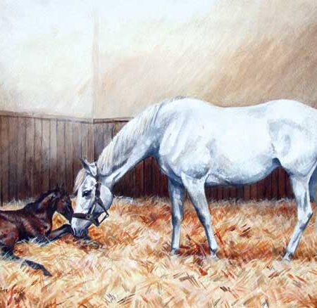 MARE AND FOAL WENSKAART