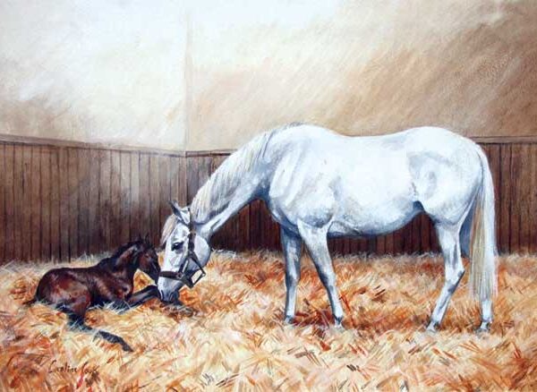 MARE AND FOAL WENSKAART
