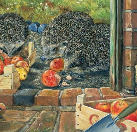 APPLE HARVEST WENSKAART