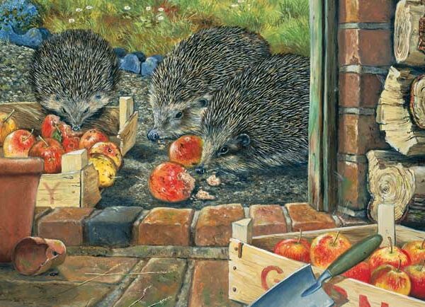 APPLE HARVEST WENSKAART