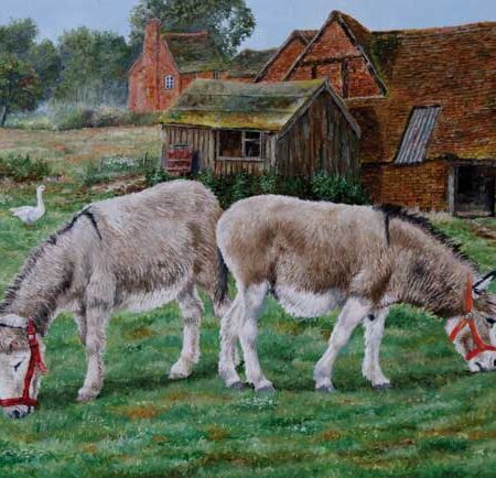 DONKEY SANCTUARY WENSKAART