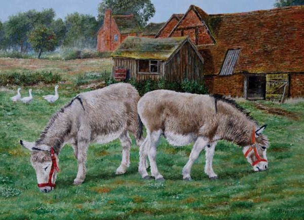 DONKEY SANCTUARY WENSKAART