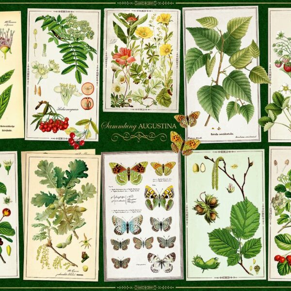 PUZZEL AUGUSTINA PLANTEN COLLECTIE