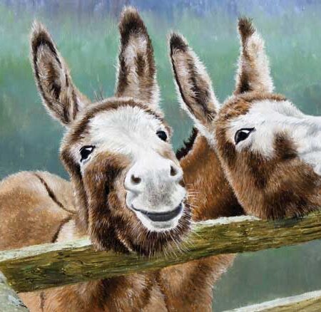JACK & JENNY WENSKAART