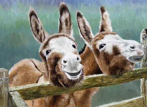 JACK & JENNY WENSKAART
