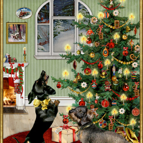 TECKELS IN DE KERSTSFEER ADVENTSKALENDER
