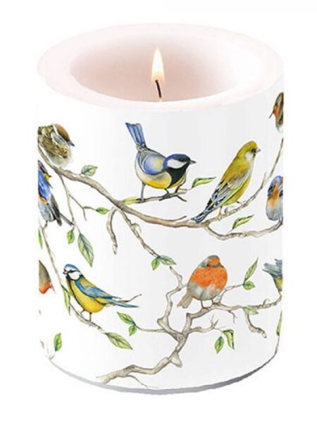 KAARS BIRDS MEETING