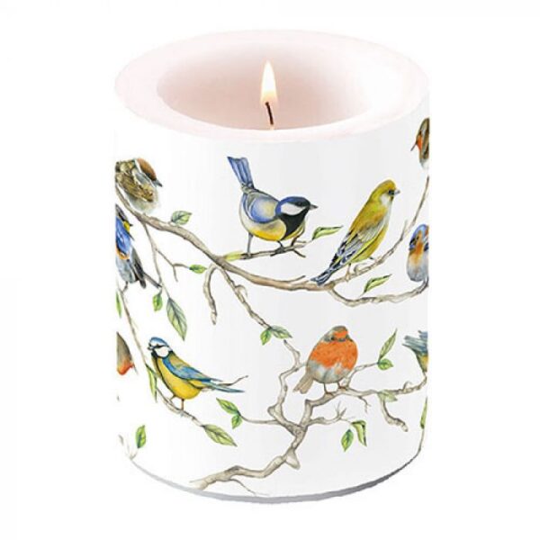 KAARS BIRDS MEETING