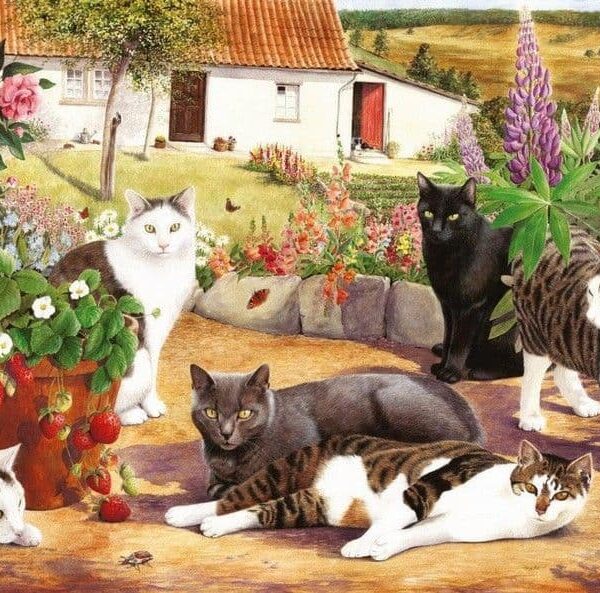 PUZZEL COOL CATS
