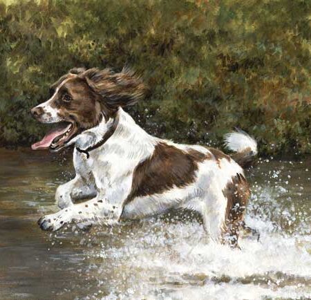 MAKING a SPLASH WENSKAART