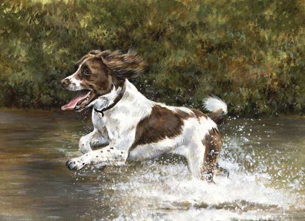 MAKING a SPLASH WENSKAART
