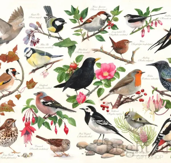 PUZZEL BIRDS IN MY GARDEN
