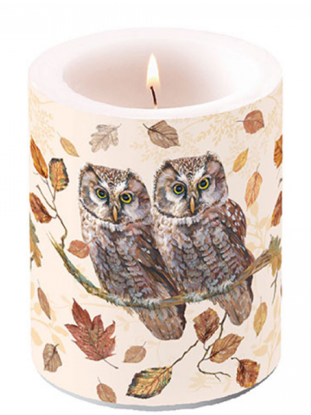 KAARS OWL COUPLE