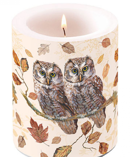 KAARS OWL COUPLE