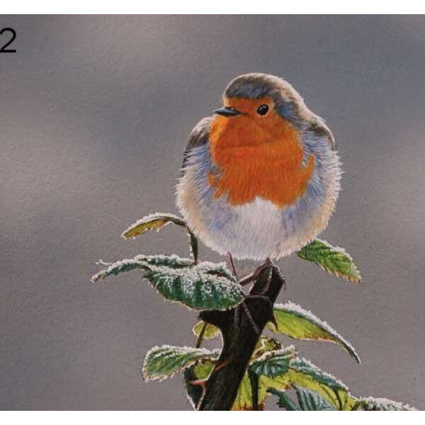 ROBIN FROSTY OUTLOOK WENSKAART