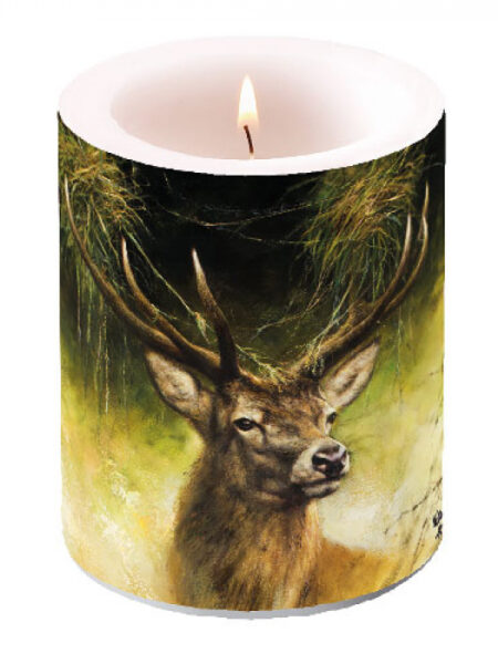 KAARS PROUD DEER - RIEN POORTVLIET