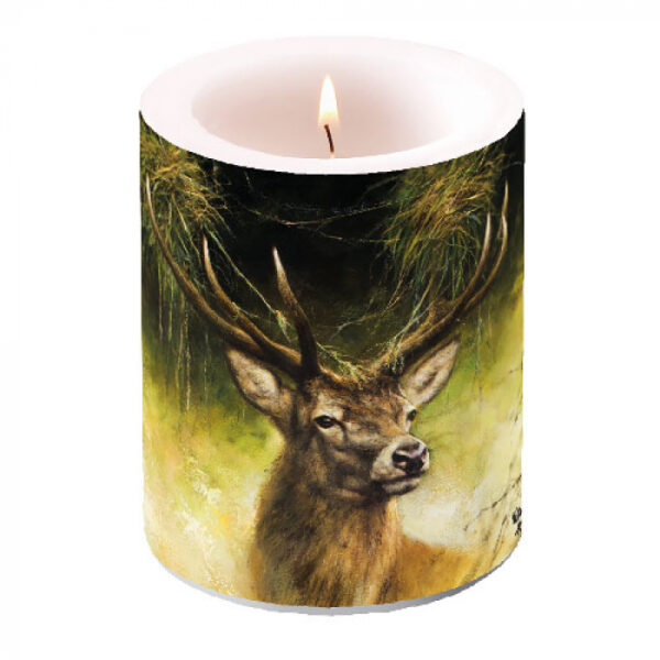 KAARS PROUD DEER - RIEN POORTVLIET